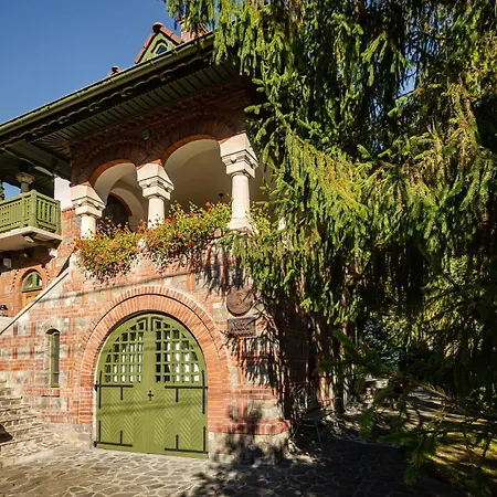 Vilegiatura/Florica Socolescu Villa-3