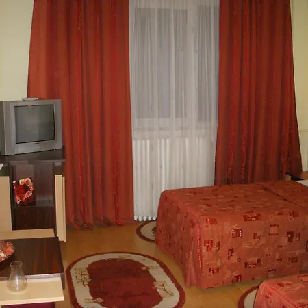 Hotel Decebal-3