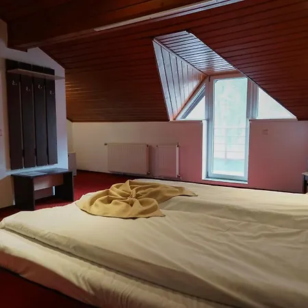 Vila Trandafirul si Liliacul-3