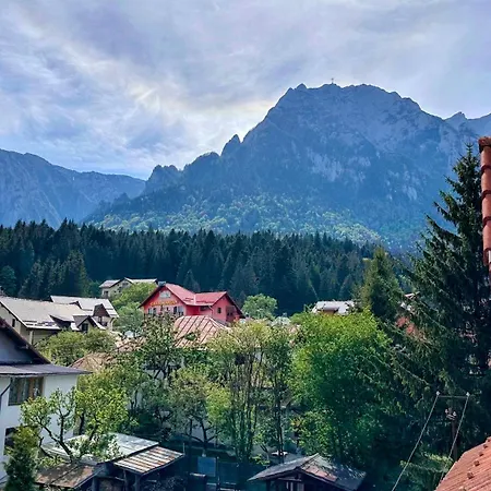 Valea Albă View - SELF CHECK-IN-2