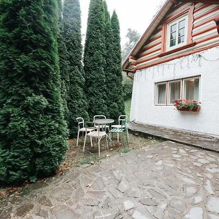 Vila Camelia-2