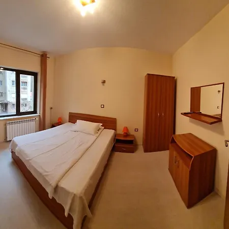 Pension Camelia-3