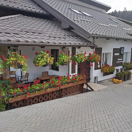 Pensiunea Căprioara Voroneț-3