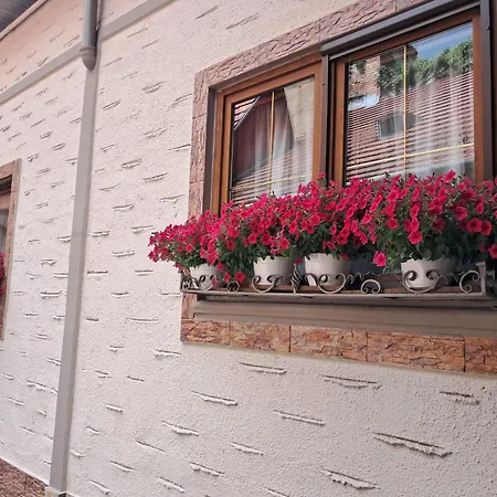 Hotel Claudiu-2