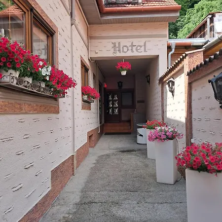 Hotel Claudiu-3