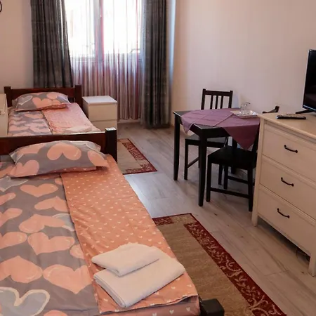 Guest House Andrei-2
