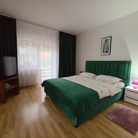 Pensiunea Valea Alba-3
