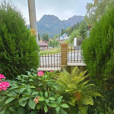 Pensiunea Valea Alba-2
