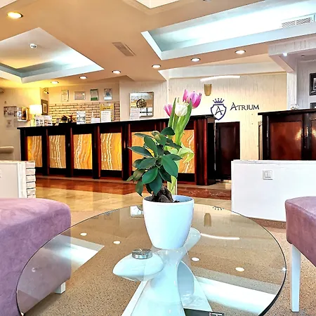 Atrium Hotel Bucharest City Center-2