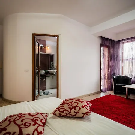 Pensiunea Alexandra-3