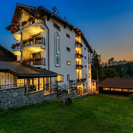 Pensiunea Hilltop-2