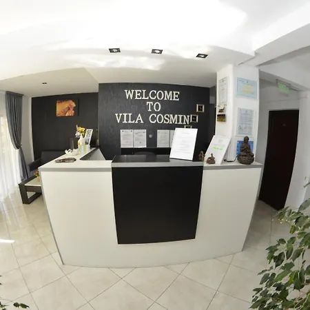 Vila Cosmin-2