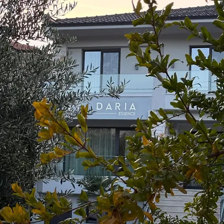 Daria Essence-3