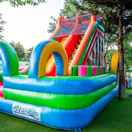 Ibis Styles Venus-3