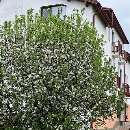 Pensiunea Cetatea Craiului-2