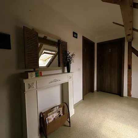 Timhouse-3