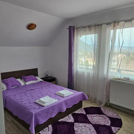 Pensiunea Casa Beatrice Bran-3