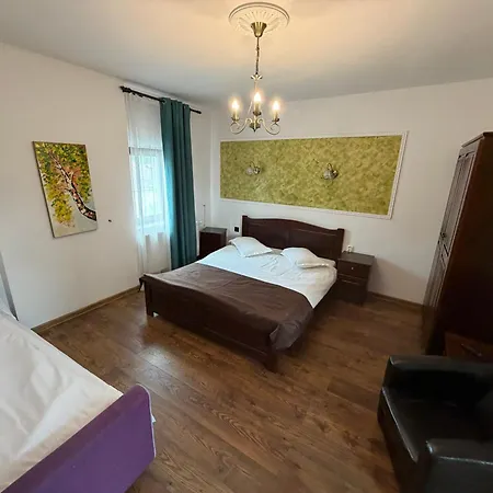 Pensiunea Casa Rica-2