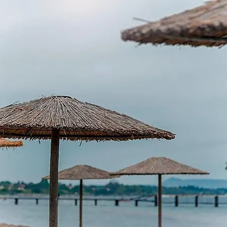 Olive Grove Beachfront-2