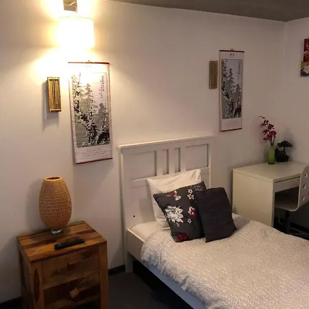 Hotel Biscuit-2