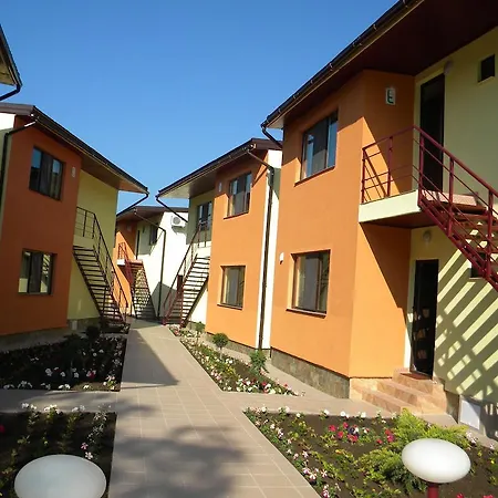 Vilele Soarelui-2