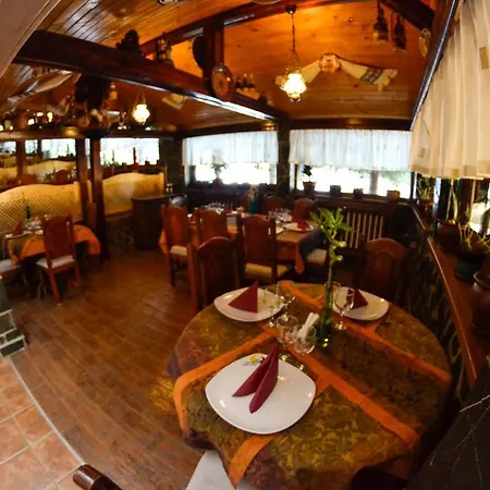 Pension Restaurant Speranta-3