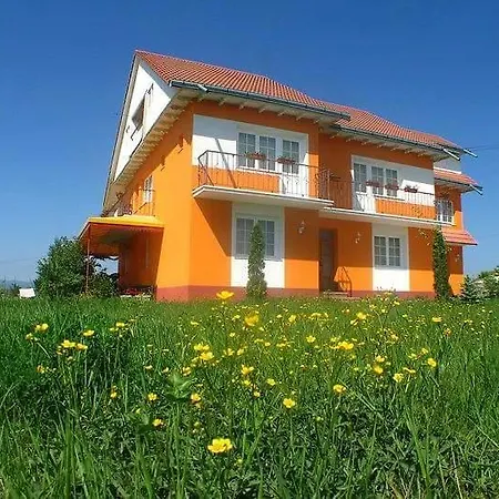 Vila Vlad-2