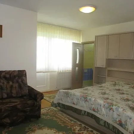 Vila Vlad-3