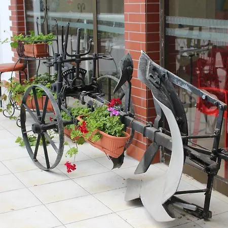 Park Hotel Briz-2