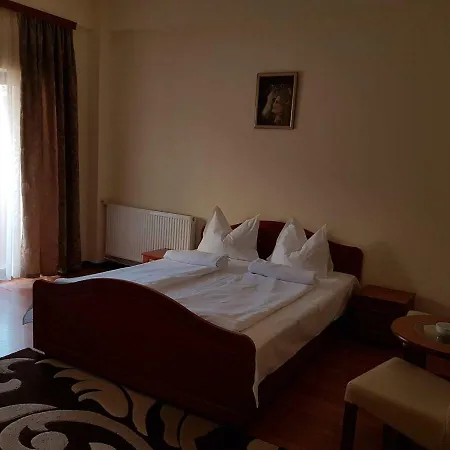 Vila Orhidee-3