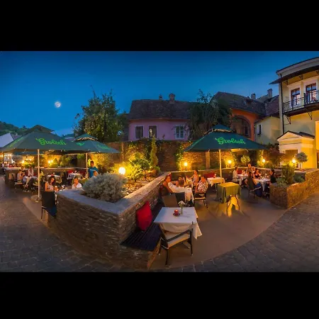 Hotel Central Park Sighisoara-3