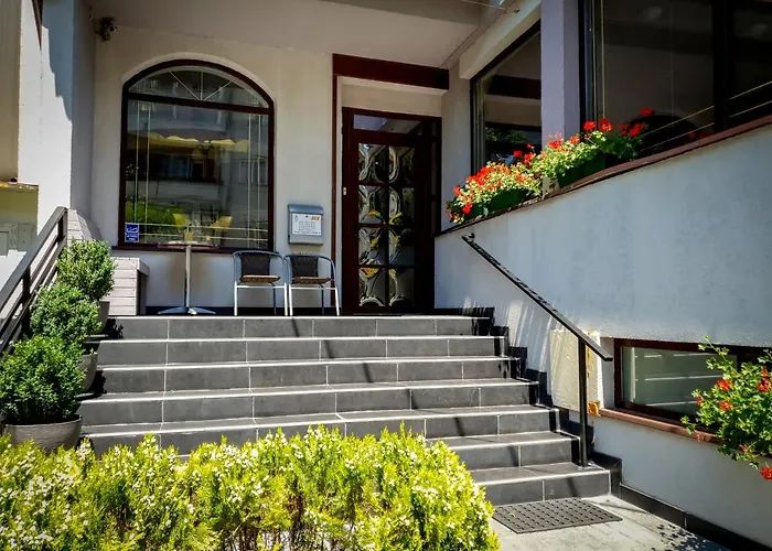 Hotel Vila Ami Constanţa