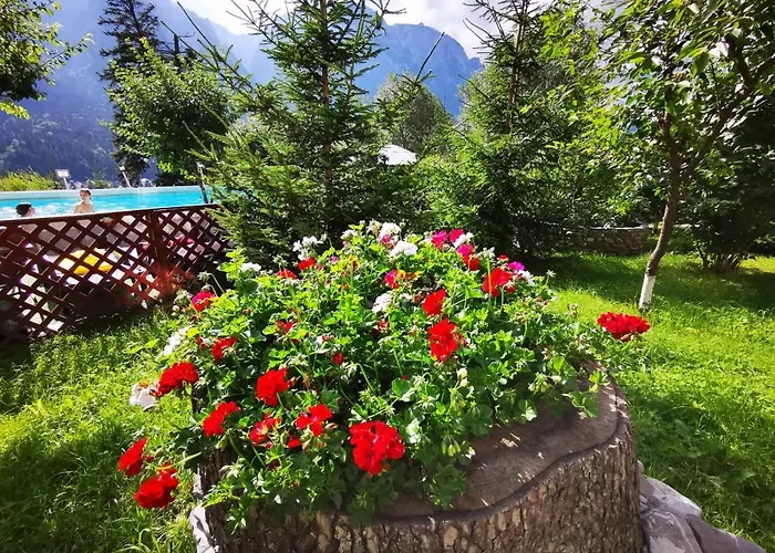 Vila Alunis Buşteni