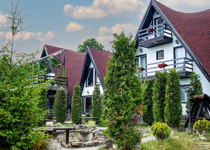 Pensiunea LIN COTA 1000 Sinaia