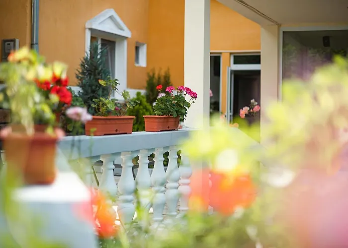 Aida Hotel Spa & Tratament Geoagiu Băi