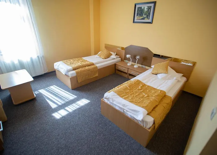 Hotel Alexandra Timişoara