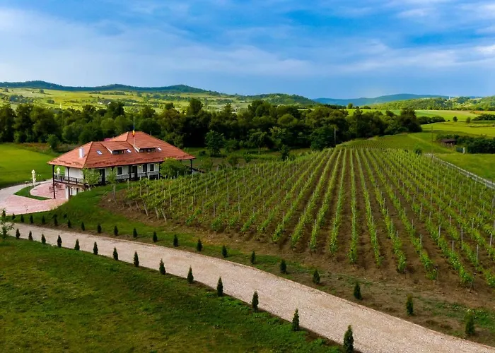 Pensiunea Sonnenhof Sighişoara
