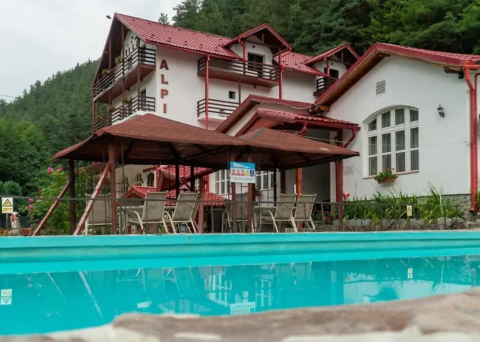 Pensiunea Alpin Păltiniş