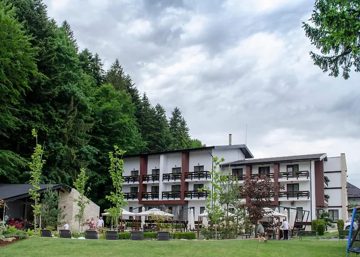 Piatra Pinului Ski&Spa Gura Humorului