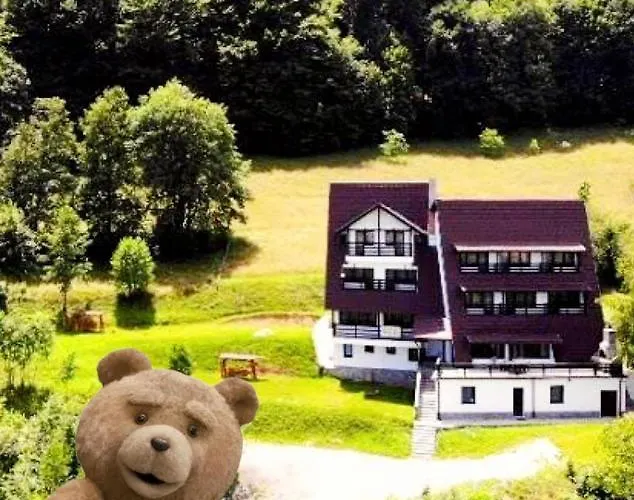 Pensiunea Ursuleț Bran Bran 