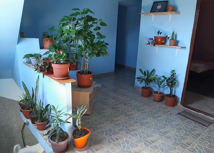 Casa Ana Hotel Bucureşti