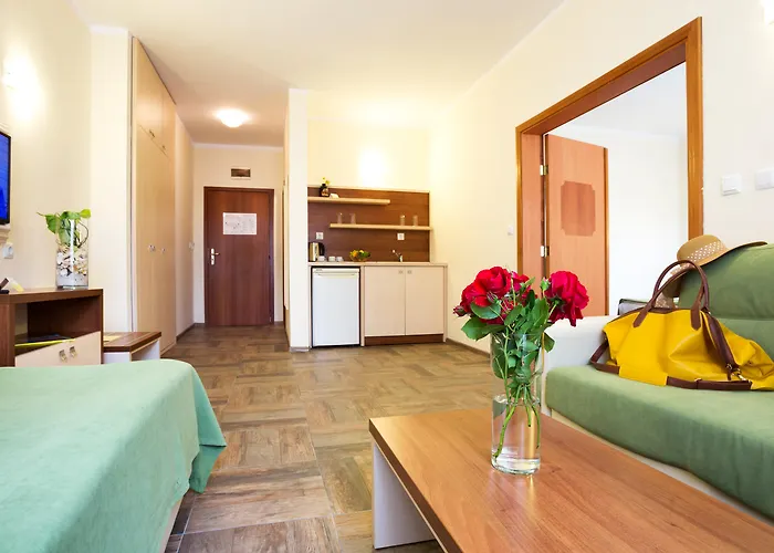 Ljuljak Hotel Nisipurile de Aur