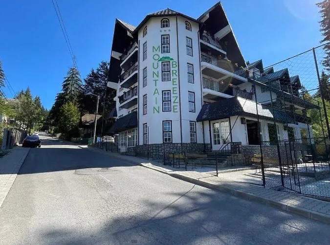 Mountain Breeze Hotel Predeal
