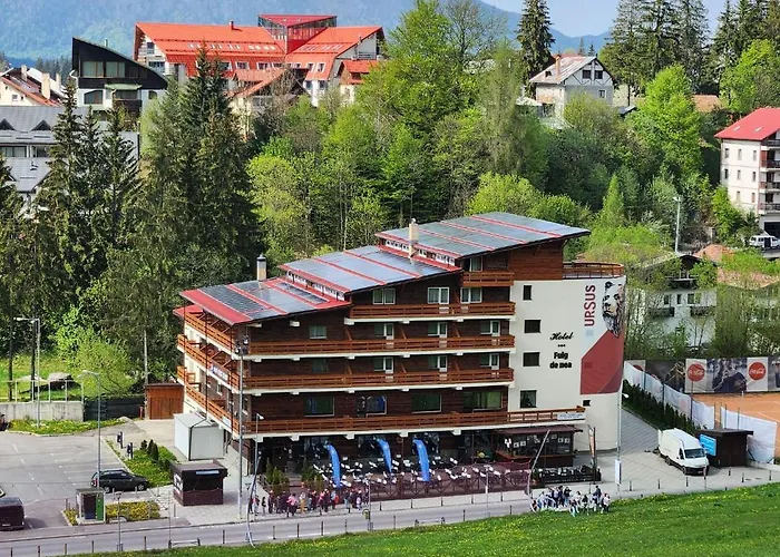 Cabana Fulg De Nea Predeal