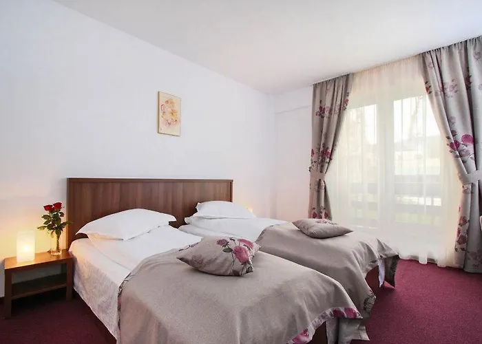 Hotel Domnitei Călimăneşti