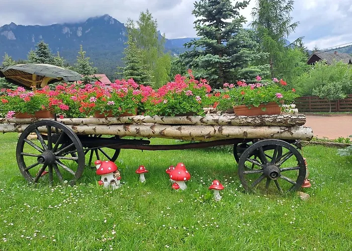 Pensiunea Maria Durău