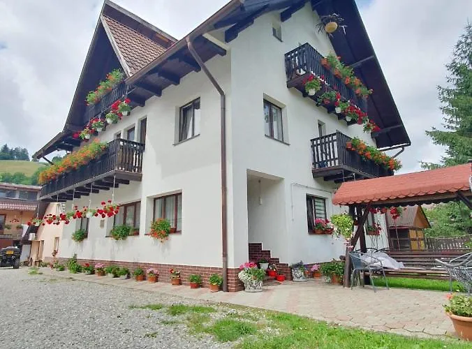 Casa Flavius Hotel Bran 