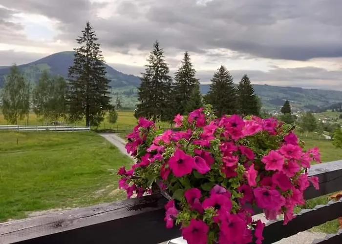 Casa Lena -Vatra Dornei Hotel