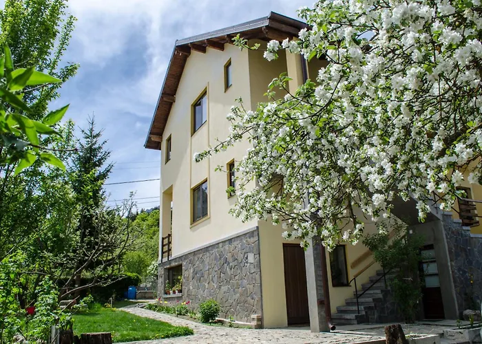 Casa Frida Hotel Buşteni