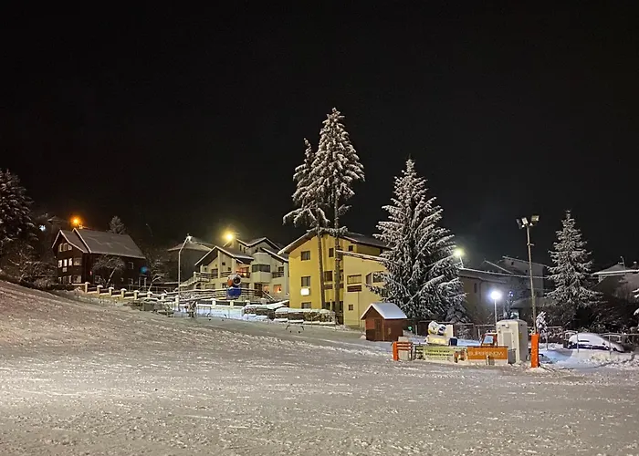Pensiunea Casa Frasin Vatra Dornei